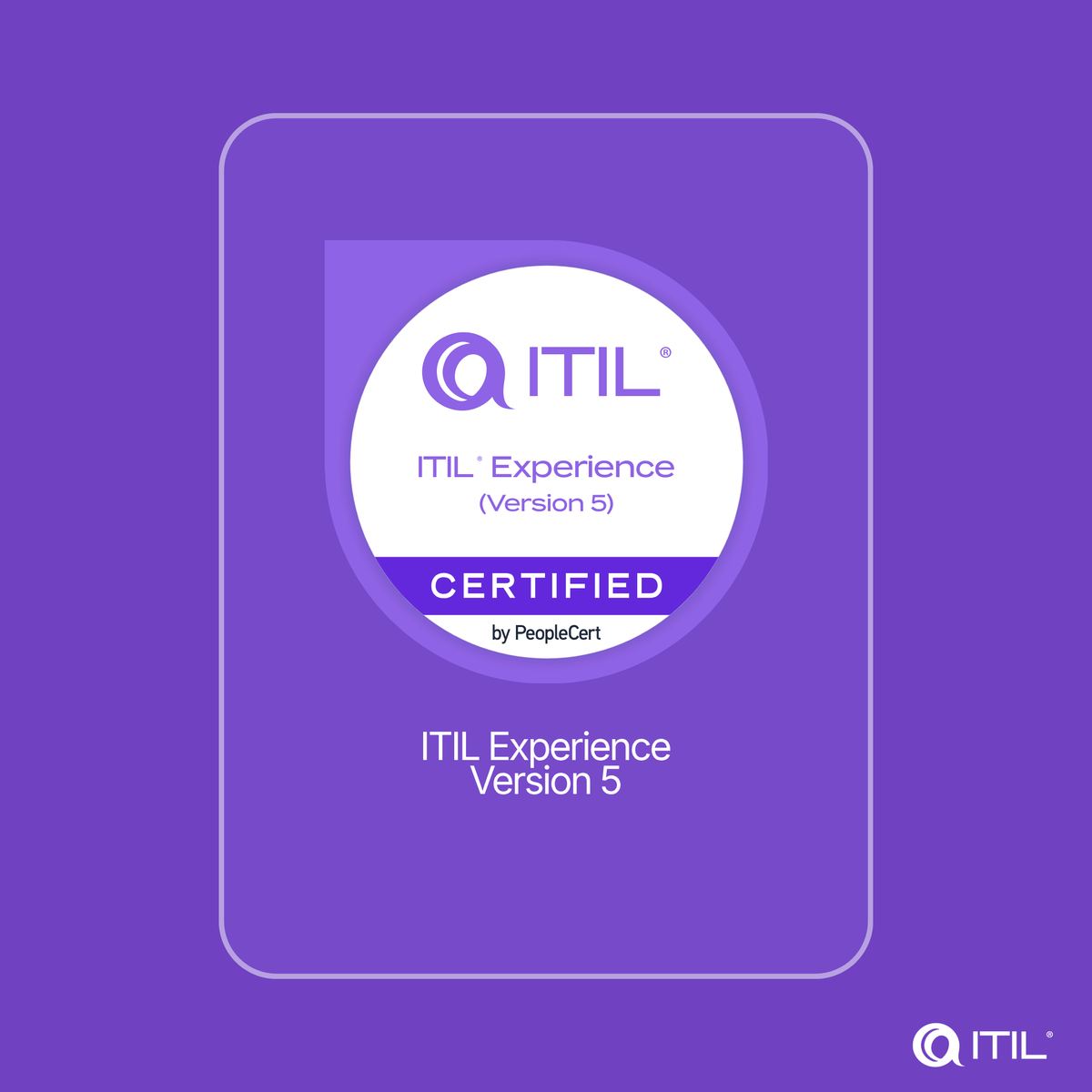 ITIL Experience (Version 5) eLearning